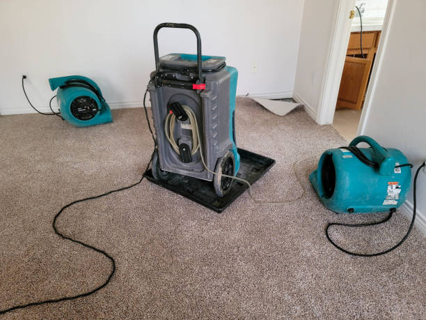 Best Flood restoration services  in Naco, AZ