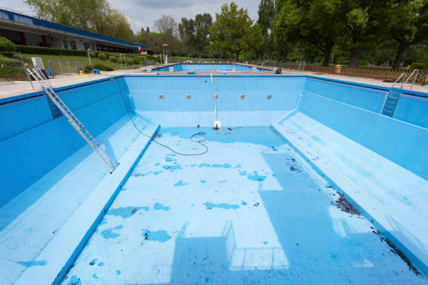 Best Water damage cleanup near me  in Naco, AZ