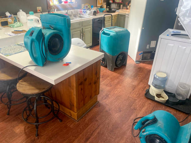 24/7 water damage repair in Naco, AZ