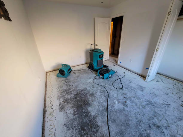 Best 24/7 water damage repair  in Naco, AZ