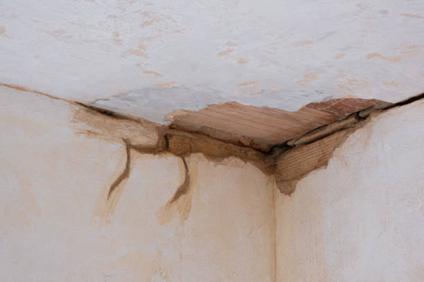 Best Basement water damage restoration  in Naco, AZ