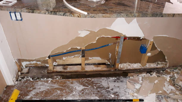 Best Sewage cleanup and water damage restoration  in Naco, AZ