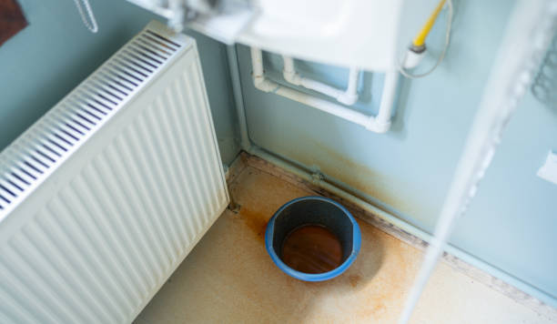 Best 24-hour water damage restoration  in Naco, AZ