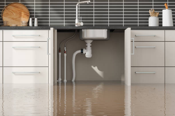 Best Local water damage restoration  in Naco, AZ