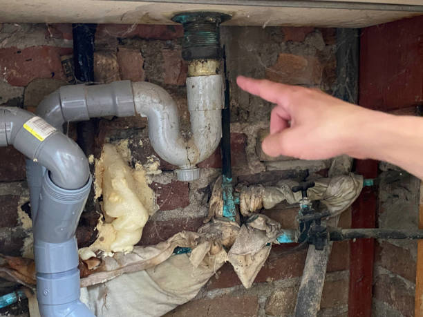 Best Flood damage cleanup  in Naco, AZ