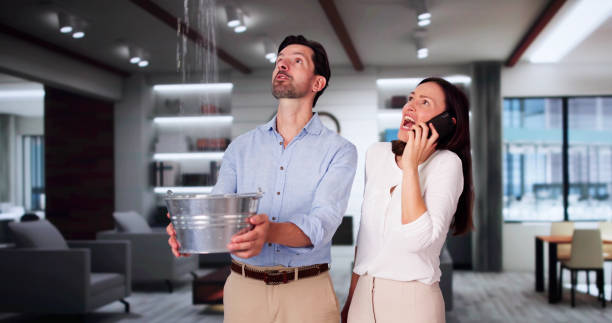 Best Fire Damage Restoration  in Naco, AZ