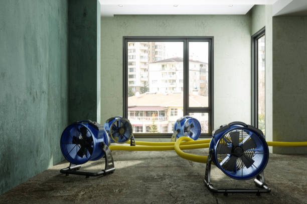 Best Water damage restoration insurance claims  in Naco, AZ