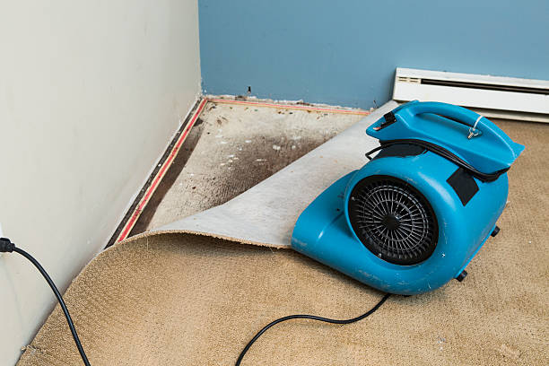  Naco, AZ Water damage restoration Pros